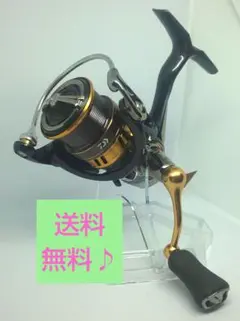 2026年最新】ダイワ リール レガリス LT1000Sの人気アイテム - メルカリ