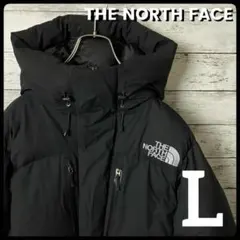 ノースフェイス バルトロライトジャケット ゴアテックス ND91950 Lサイズ