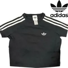 adidas クロップドTシャツ　ブラック　xs