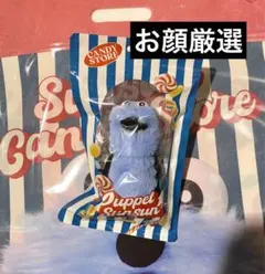 パペットスンスン Candy Store マスコット スンスン