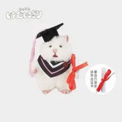 【日本未発売】はむにぎり　ぬいぐるみ着せ替え服《卒業》シリーズ　おもちモデルのサムネイル