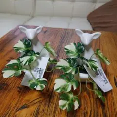 IKEA　FEJKA　人工観葉植物 カンガルー　×2のサムネイル