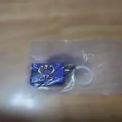 仮面ライダー めじるしアクセサリー3 カードデッキ（王蛇）