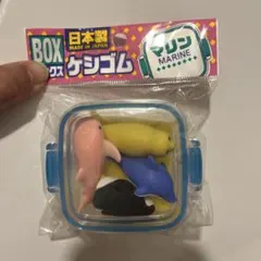 iwako BOXケシゴム マリン ミニチュアのサムネイル