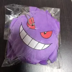 晴*〜様 《新品・未使用品》ゲンガー ぬいぐるみ コインケース ポケモン