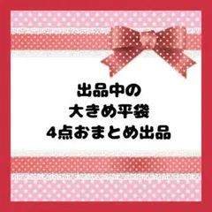 大きめ平袋　おまとめセット