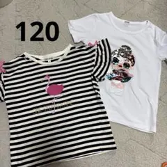 SHOO LA RUE フラミンゴ柄 ボーダー Tシャツ＆白Tシャツ　120cmのサムネイル