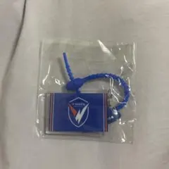 J1リーグガチャガチャV・VAREN長崎