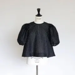 gypsohila Crystal Blouse クリスタルブラウス36