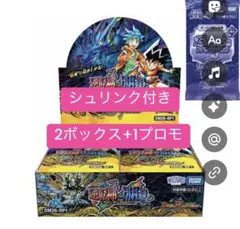 デュエルマスターズ 25周年記念 DM26-RP1✖️2 - メルカリ
