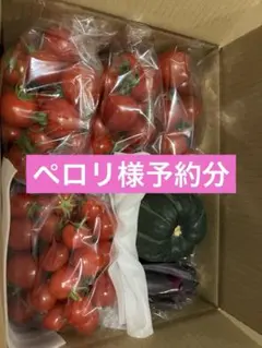 0624 ペロリ様用野菜セットチルド便のサムネイル