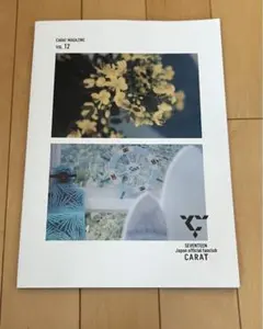 SEVENTEEN CARAT MAGAZINE Vol.12 会報
