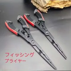 Item thumbnail for item 2897378d-77c6-4780-a067-c6b3991a9322