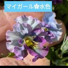 すぎちゃん様 リクエスト 4点 まとめ商品