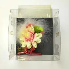 Item thumbnail for item a346dddc-71f7-420e-9f93-ca50e672d9ab