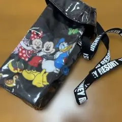 ディズニー　ポップコーンケース　ポップコーン　ディズニーシー