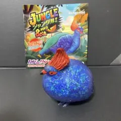 ジャングルアンドコ カンムリシャコ