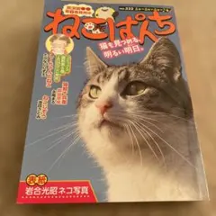 Item thumbnail for item 3d6a9c98-75eb-4eca-a106-896a32b6b80a