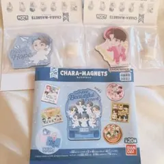 BTS tinytan キャラマグネッツ J-hope セット