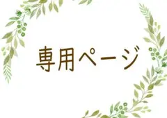 ひー様専用です