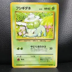 【旧裏・美品】フシギダネ ● 第1弾拡張パック