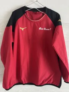 ミズノMIZUNOゴールアシスト指定ピステ150センチ