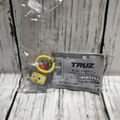 TRUZ めじるしアクセサリー HIKUN TREASURE アサヒ