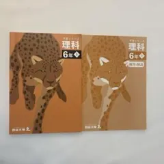 四谷大塚　予習シリーズ　家庭学習　6年上　中学受験　理科　問題集　参考書