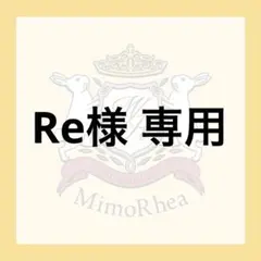 Re様 専用★ゆうパケット★
