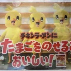 チキンラーメン クリアファイル　timeleszひよこ組