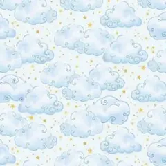 輸入生地 Castle In The Clouds