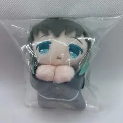 鬼滅の刃 時透無一郎 幼少期 はぐキャラ ふわコロりん アニメイト特典 メルカリ