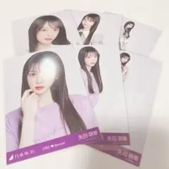 乃木坂46 矢田萌華 6期生Special 生写真 6種コンプ
