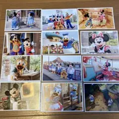 ディズニーリゾートポストカード/ディズニー実写/ディズニーポストカード