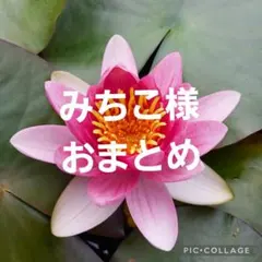 みちこ様☆おまとめのサムネイル