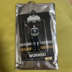 SEVENTEEN HOME WONWOO ウォヌ　アクリルキーリング