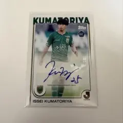 ラグビーワールドカップ2019 田中史朗選手直筆サイン色紙 - メルカリ