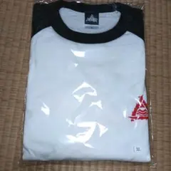 Item thumbnail for item 520c58fe-35b0-4c42-9b0d-df3041c37336