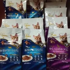 Item thumbnail for item 33515084-a015-49d6-a012-24d72694c3f7