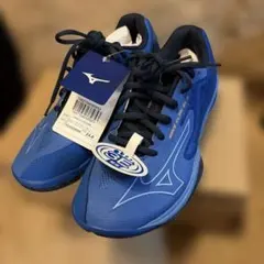 【試着のみ・未使用美品】ミズノバドミントンシューズウェーブクローEL2