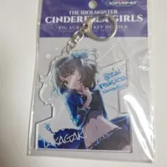 Item thumbnail for item ef234b5b-2c5f-4682-a966-5957f400a540