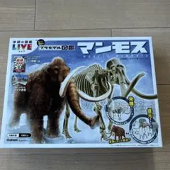 Item thumbnail for item 1ca73450-7714-4618-a9ba-caaba5a67e26