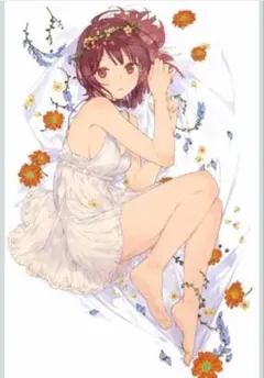 アトリエ 20周年スペシャルライブ B2布ポスター ソフィー - メルカリ