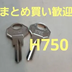 ブランク GSS H750 2本セット