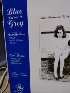 Blue Turns to Grey 1980's下北沢コンピレーション LP
