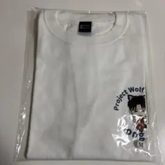 Seo In Guk オオカミ狩り映画 グッズTシャツとアクリルスタンド