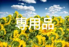 ユニクロ エアリズム メッシュシームレス ボクサーブリーフ3枚(L)前とじ