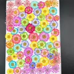 Item thumbnail for item ce07b13b-bce4-43f8-ad64-f9703cef74b0