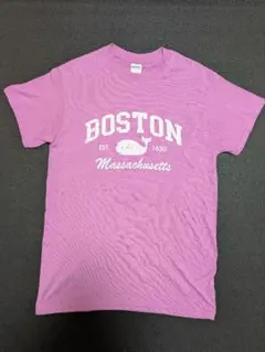 Item thumbnail for item 3c9c6f6e-5893-4961-88ed-e4ce372dfcf2