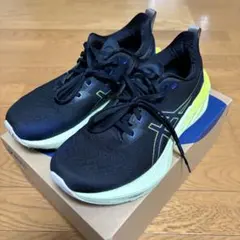 ASICS NOVABLAST 4 26.0cm 2E 走行距離約380km